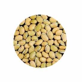 Field bean (motchakottai) 500g - Shaalis.com