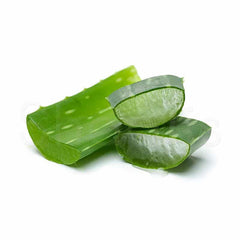 Fresh Aloe Vera Leaf (Single) - Shaalis.com