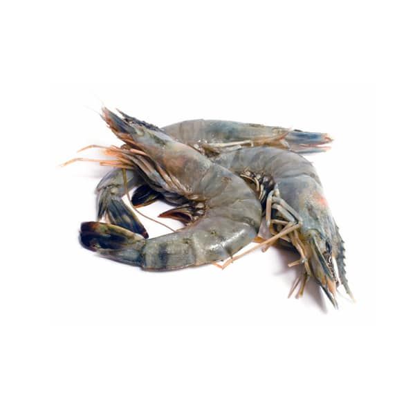 Fresh Large King Prawn 1kg - Shaalis.com