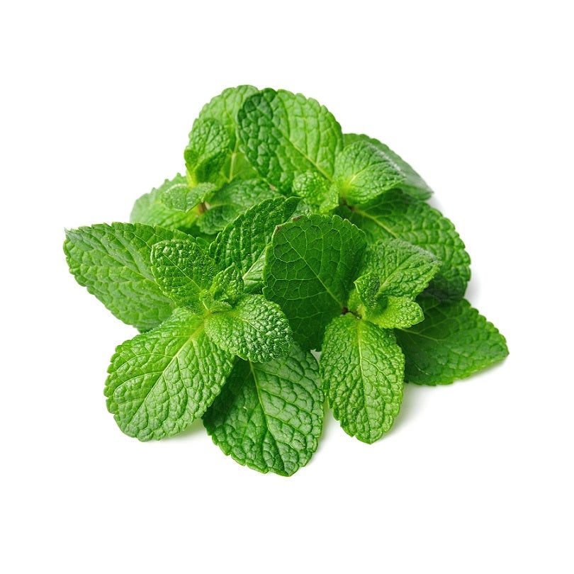 Fresh Mint Leaf Bunch - Shaalis.com