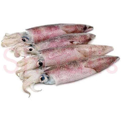 Fresh Squid 1kg - Shaalis.com