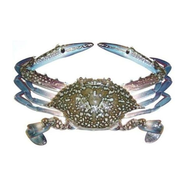 Fresh Crab / Nandu 500g - Shaalis.com