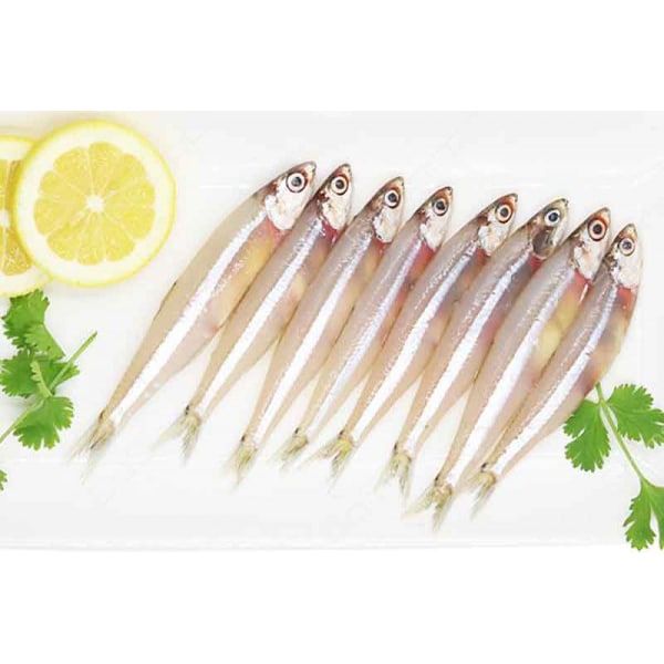 Fresh Anchovy / Nethali 1kg - Shaalis.com