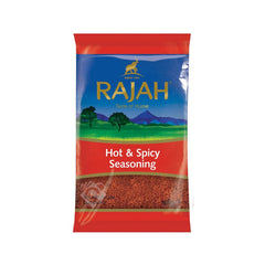 Rajah Hot & Spicy Seasoning 100g^ - Shaalis.com