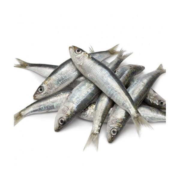 Fresh Keeri / Mathi / Sardine 1kg - Shaalis.com