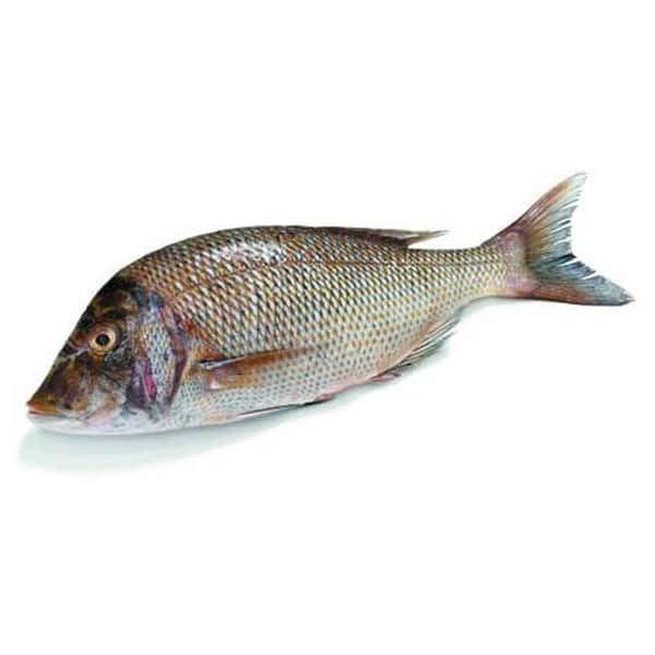 Fresh Emperor / Vizhai Fish 1kg - Shaalis.com